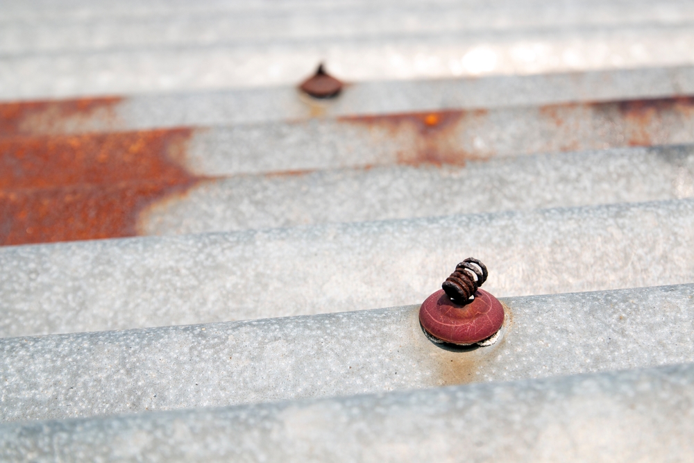 A metal roof with rust around screws and across the surface.